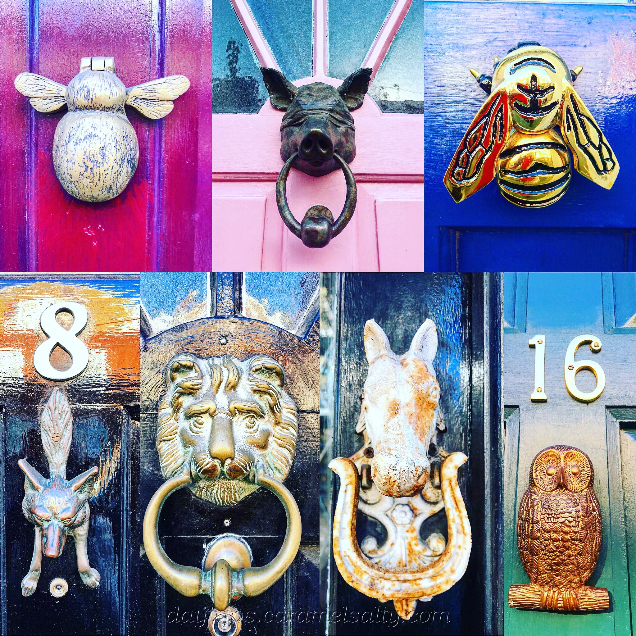 Door Knockers