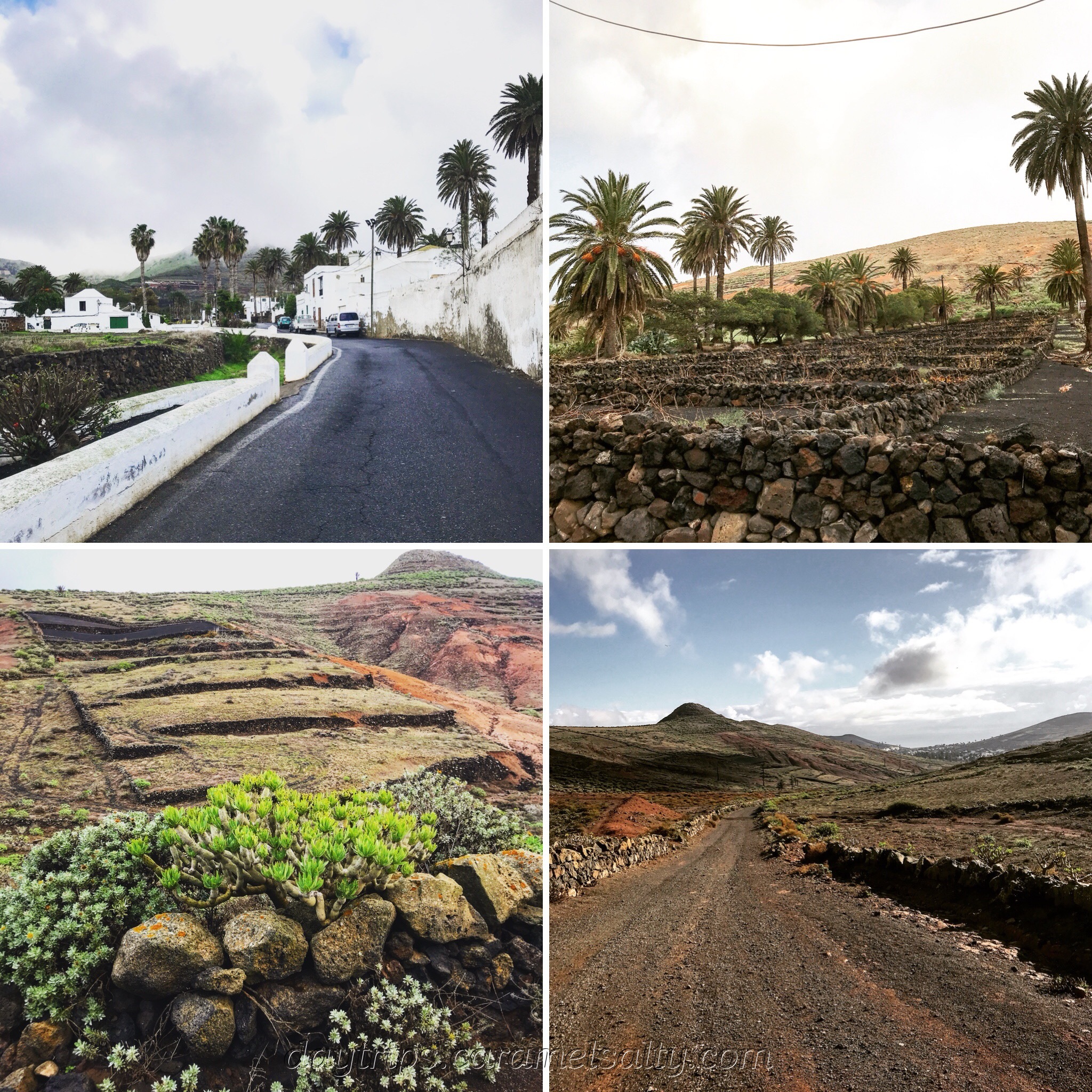 The Walk up to the Mirador