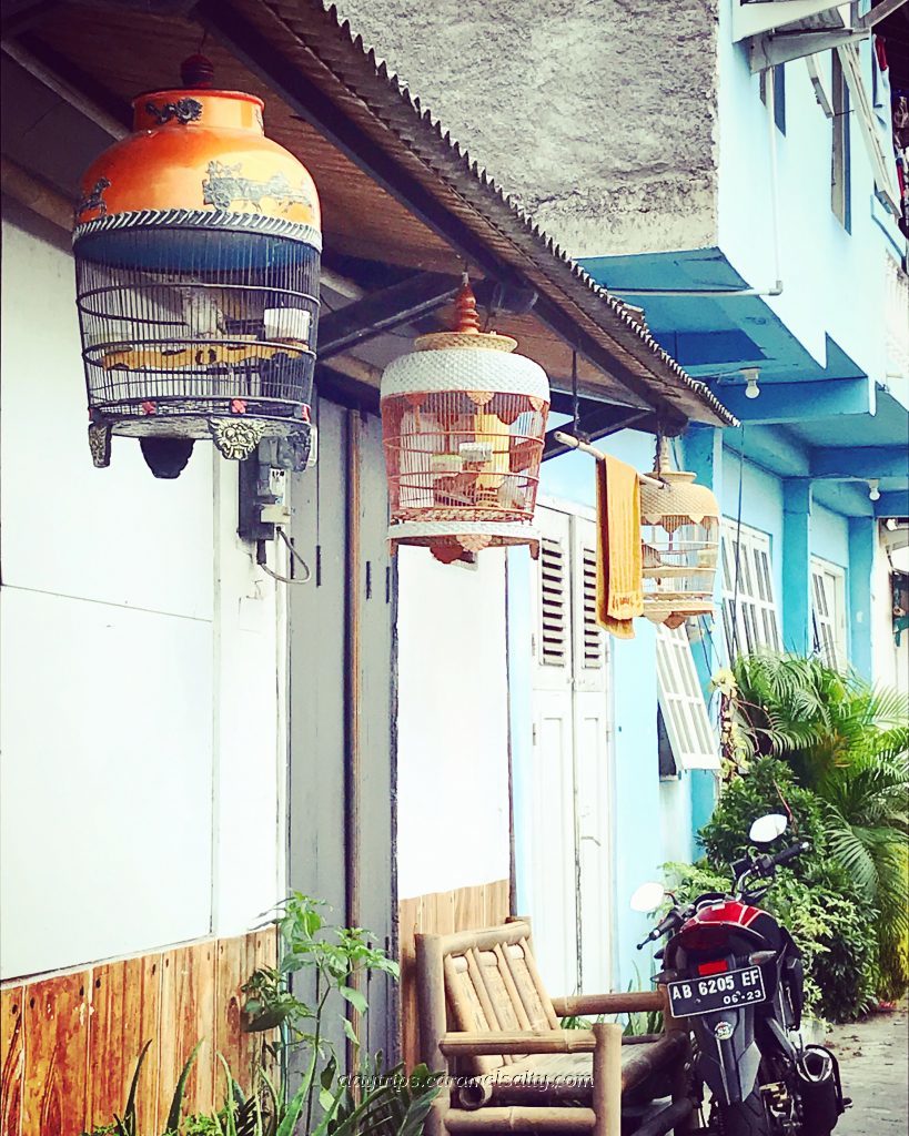 Bird Cages Hanging Outside A House