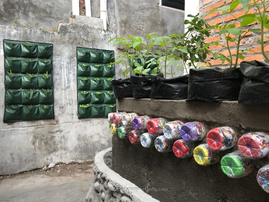 An Improvised Market Garden in Kampong Jugoyudan