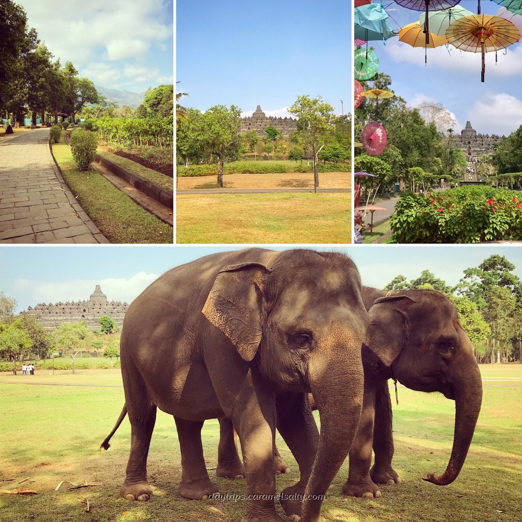 The Walk To Borobodur Temple