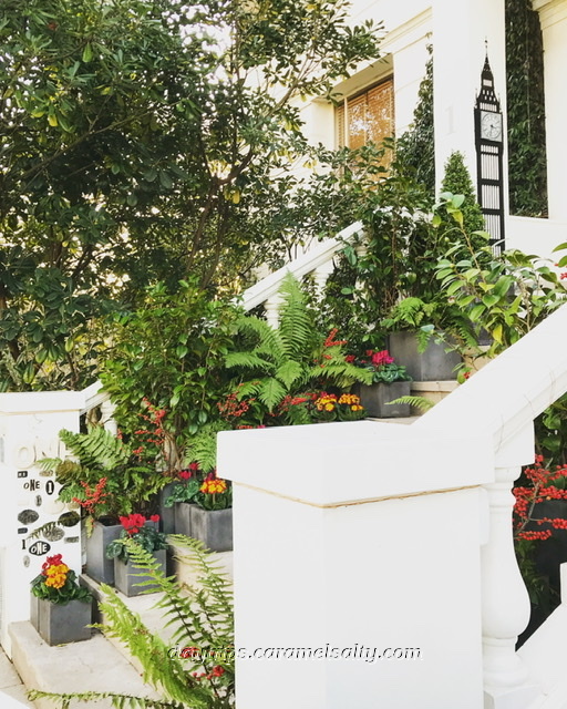 Patio Flowers at No 1 Landsdowne Crescent