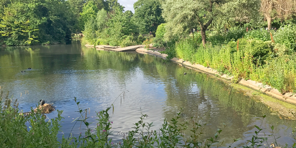 The Duck Pond at Ravenscourt Park