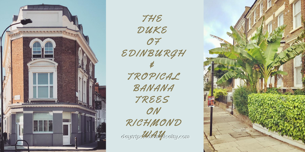 The Duke of Edinburgh and Banana Trees