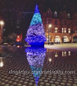 Christmas Tree Outside the Connaught Hotel