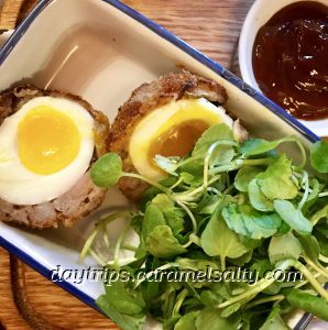 Scotch Egg at Audley