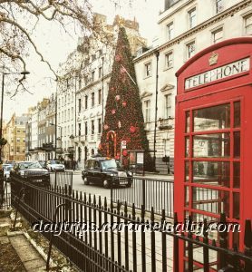 Annabel's Is Decorated With the Largest Christmas Tree in London