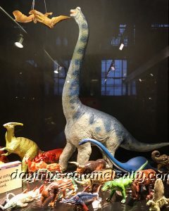 Dinosaurs at Grant's Zoology Museum