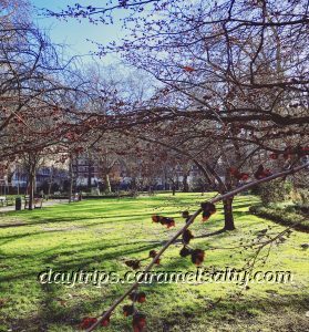 Tavistock Square in Bloomsbury