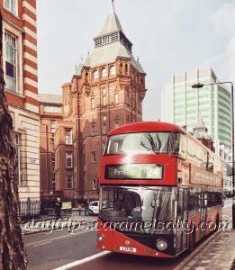 University College London in Bloomsbury