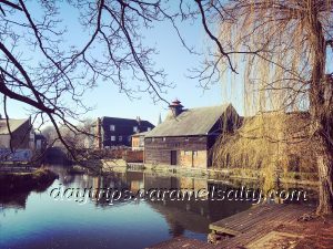 Mills Along The River Lea