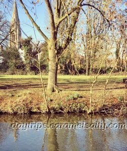 River Lea in the Grounds of Hertford Castle