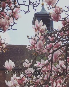 The Roof of the Old Tudor Stables At Osterley House