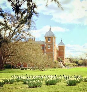 Daffodils at Osterley House