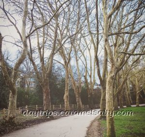 Path From The Station to the Heath