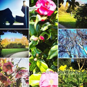 A Photo Montage of Kenwood House Gardens