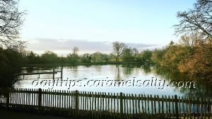 The Men's Bathing Pond in Hampstead Heath