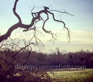 View of the City of London from Kenwood House