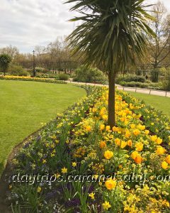 The Rose Garden in Hyde Park