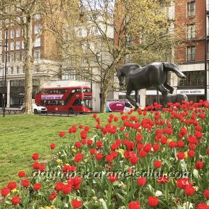 The Animals in War Sculpture on Park Lane