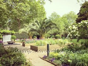 Eaton Square Gardens