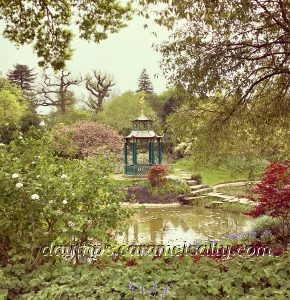 The Water Garden at Cliveden