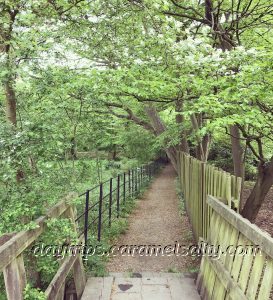 Walk to Cliveden from Bourne End