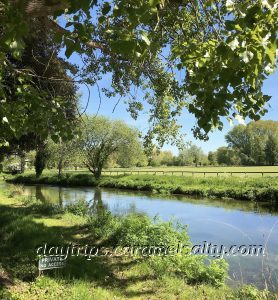 The Water Meadows Around Winchester's Rivers