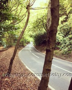 Steep Climb Up To Cliveden