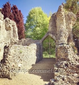 The Ruins Of Wolvesey Castle, Winchester