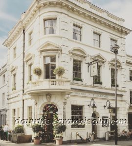 The Orange Restaurant On Pimlico Road