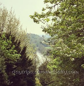 The River Thames From Cliveden