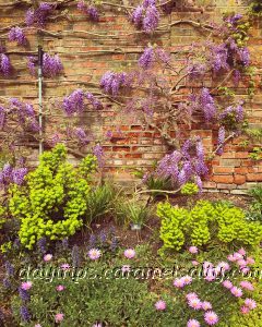 The Beautiful Formal Gardens At Cliveden