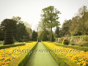 The Long Garden At Cliveden