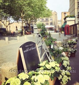 View of Orange Square And Mozart Statue From The Florist