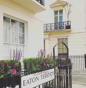 Eaton Terrace