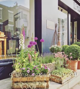 Viscount Linley's Shop Front On The Corner Of Passmore Road And Pimlico Road