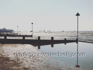 Cockle Fishing Is A Traditional Occupation In Leigh