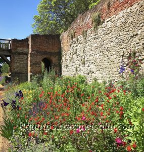 The Borders In The Gardens Of Eltham Palace