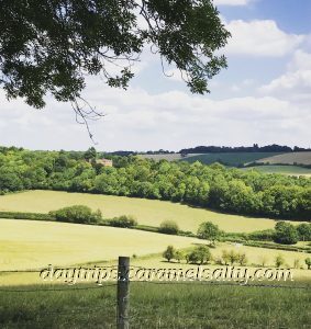 The Views From Tinker's Hill