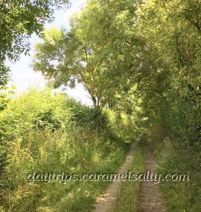 Coffin Lane on The Blue Route