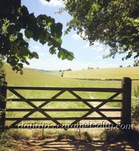 Point 5 On the Purple Route - A Gate Into A Field