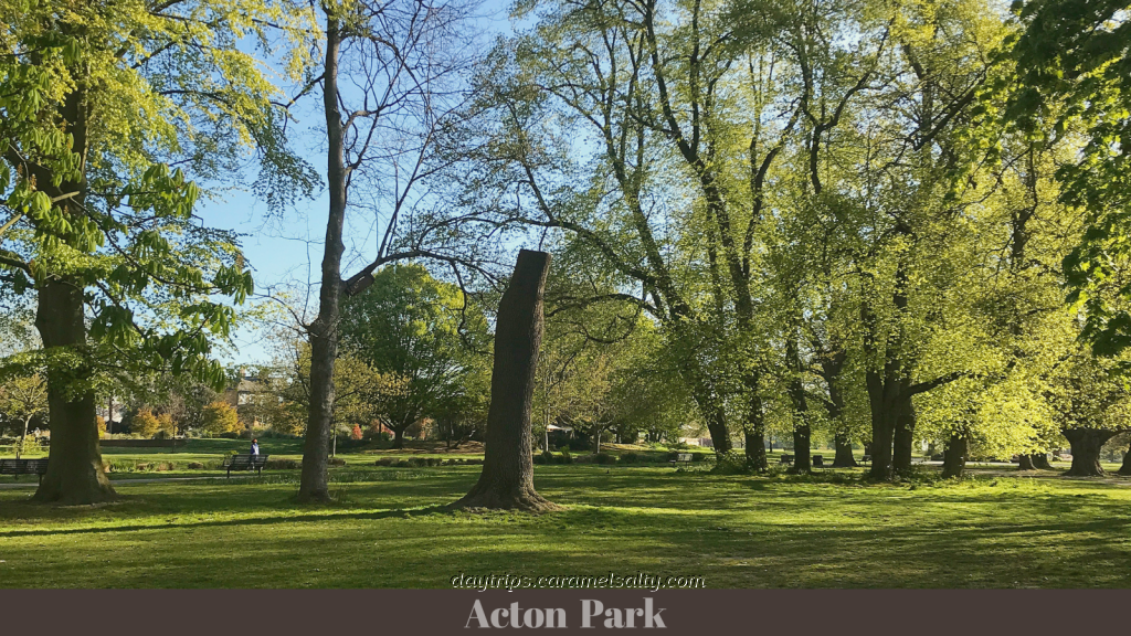 Acton Park