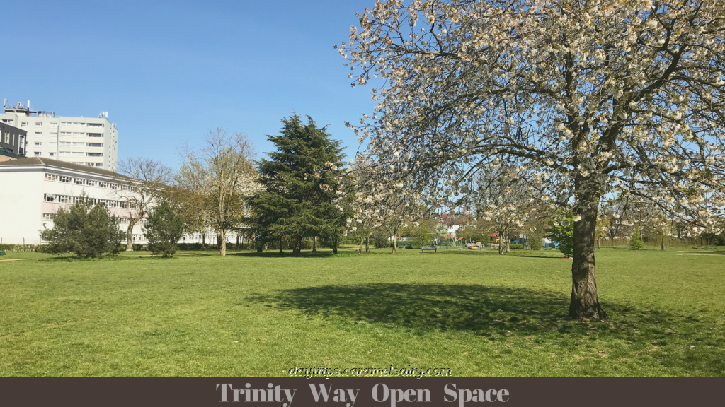 Trinity Way Open Space